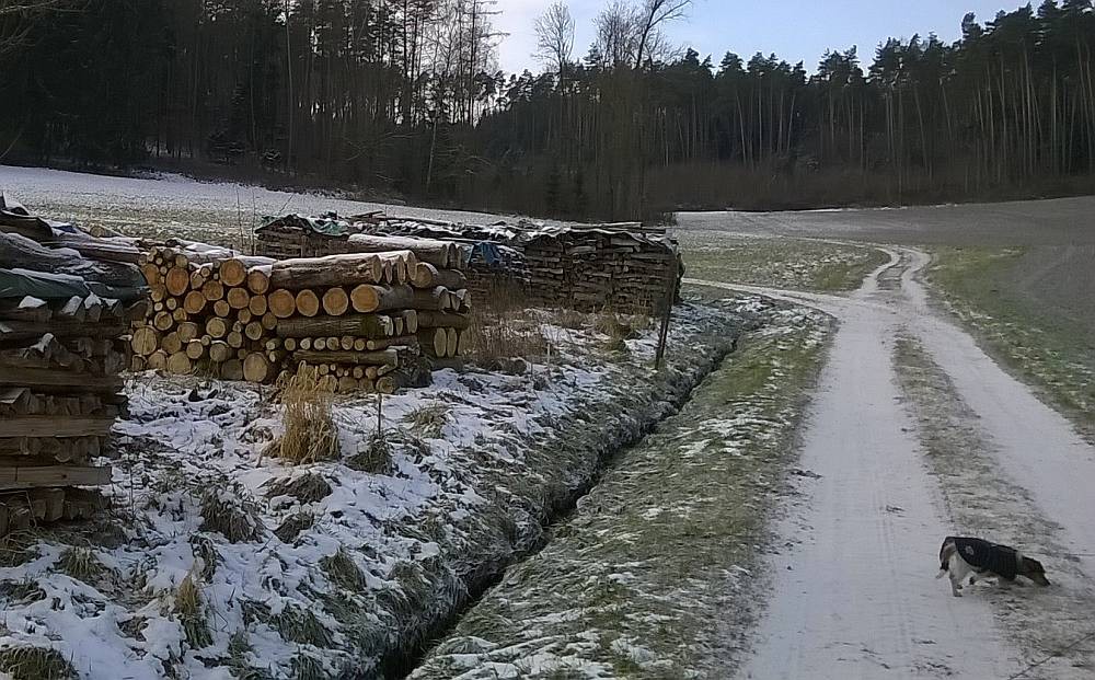 Bei Minusgraden friert sie schnell, also kam ein Mäntelchen her - fand sie nicht so dolle